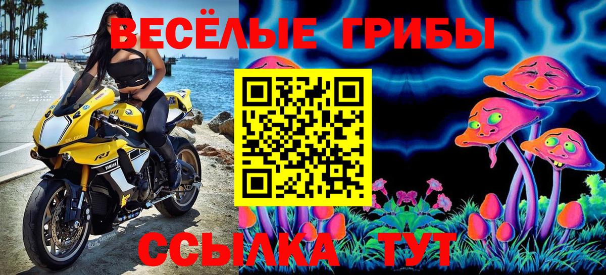 Самара  Галлюциногенные грибы GOLDEN TEACHER  Галлюциногенные грибы GOLDEN TEACHER  Вход с VPN 