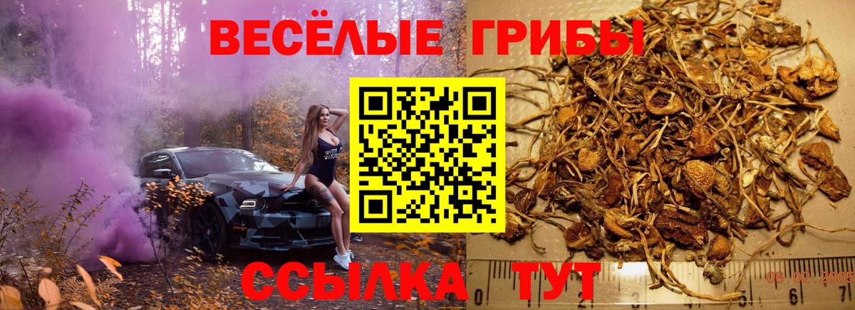 Псилоцибиновые грибы мицелий Самара